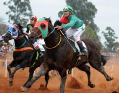Foto de la galería: Pasión burrera: Cambá Porá se quedó con la Copa Challenger