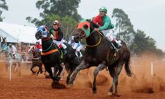 Foto de la galería: Pasión burrera: Cambá Porá se quedó con la Copa Challenger