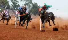 Foto de la galería: Pasión burrera: Cambá Porá se quedó con la Copa Challenger