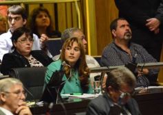 Foto de la galería: En la última sesión de la Cámara, promovieron microemprendimientos de inversión para jóvenes