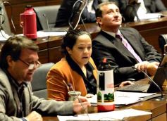 Foto de la galería: En la última sesión de la Cámara, promovieron microemprendimientos de inversión para jóvenes