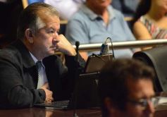 Foto de la galería: En la última sesión de la Cámara, promovieron microemprendimientos de inversión para jóvenes