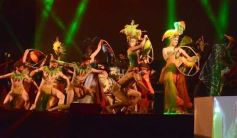 Foto de la galería: Posadas vibró al ritmo del Móvil Fest