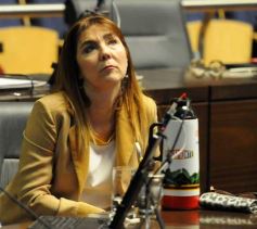 Foto de la galería: Legislatura: aprueban ley a favor de los enfermos de diabetes