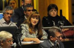 Foto de la galería: Legislatura: aprueban ley a favor de los enfermos de diabetes