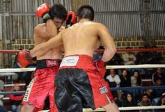 Foto de la galería: La Joya volvió a brillar ante el paraguayo Vázquez