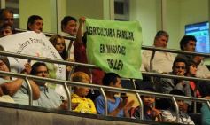 Foto de la galería: La Cámara de Representantes dio su acuerdo para cubrir cargos en la Justicia