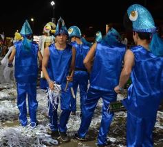 Foto de la galería: Primera noche de la principal fiesta de los jóvenes posadeños: Estudiantina 2015