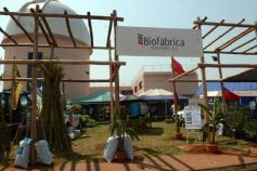 Foto de la galería: Emsa tuvo su stand en la décima Feria Forestal Argentina