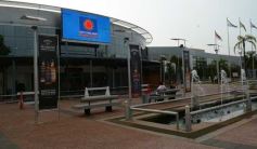Foto de la galería: Los amigos de siempre y la Luna Roja