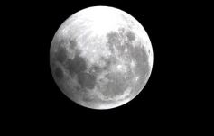 Foto de la galería: Los amigos de siempre y la Luna Roja