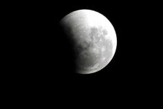 Foto de la galería: Los amigos de siempre y la Luna Roja