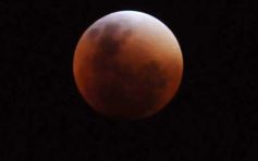 Foto de la galería: Los amigos de siempre y la Luna Roja