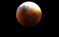 Foto de la galería: Los amigos de siempre y la Luna Roja