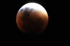 Foto de la galería: Los amigos de siempre y la Luna Roja