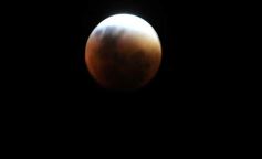 Foto de la galería: Los amigos de siempre y la Luna Roja