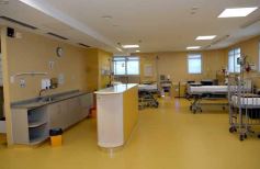 Foto de la galería: Con la presencia de Abel Albino, el Gobierno presentó los avances en materia de Recuperación Nutricional