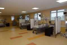 Foto de la galería: Con la presencia de Abel Albino, el Gobierno presentó los avances en materia de Recuperación Nutricional