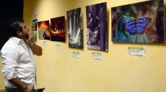 Foto de la galería: Exitoso Segundo Encuentro de Fotógrafos