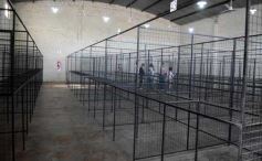 Foto de la galería: Inauguraron la Salada Guaraní, en la Zona Centro