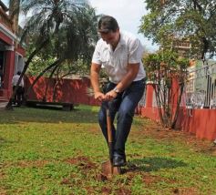 Foto de la galería: Empresarios y políticos debatieron sobre cómo consolidar la Ruta de la Yerba Mate