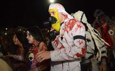 Foto de la galería: Show de Scolas, la despedida de la Estudiantina 2015, y los ganadores en acción