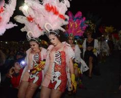 Foto de la galería: Show de Scolas, la despedida de la Estudiantina 2015, y los ganadores en acción