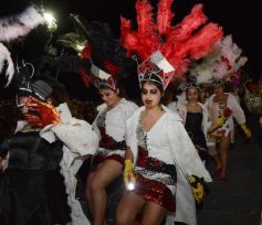 Foto de la galería: Show de Scolas, la despedida de la Estudiantina 2015, y los ganadores en acción