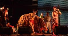 Foto de la galería: Empezó el gran festival de cara al río Paraná