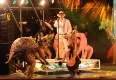 Foto de la galería: El chamamé fue la estrella en la segunda noche del Festival