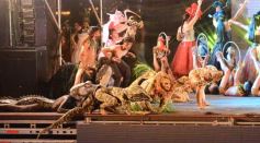 Foto de la galería: El chamamé fue la estrella en la segunda noche del Festival
