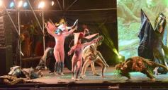 Foto de la galería: El chamamé fue la estrella en la segunda noche del Festival