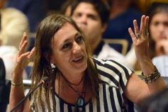 Foto de la galería: La Legislatura fijó en 33 mil millones de pesos el presupuesto provincial para el 2016