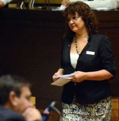 Foto de la galería: La Legislatura fijó en 33 mil millones de pesos el presupuesto provincial para el 2016