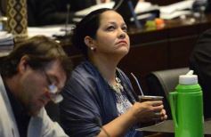 Foto de la galería: La Legislatura fijó en 33 mil millones de pesos el presupuesto provincial para el 2016