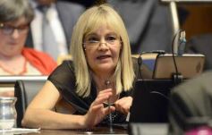 Foto de la galería: La histórica asunción en la Legislatura, todas las fotos de un acto imperdible