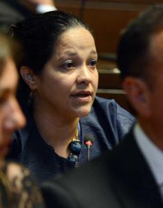 Foto de la galería: La histórica asunción en la Legislatura, todas las fotos de un acto imperdible
