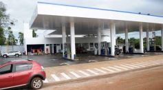 Foto de la galería: Las caminatas de siempre y la cosecha de sonrisas