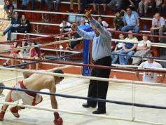 Foto de la galería: La última velada del año en el Consejo del Deporte, en medio del temporal