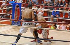 Foto de la galería: La última velada del año en el Consejo del Deporte, en medio del temporal