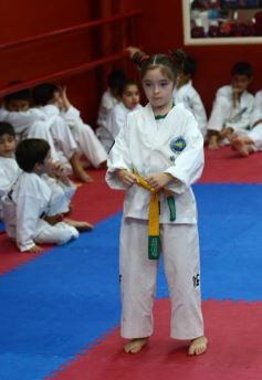 Foto de la galería: Gran cita del taekwondo en Posadas