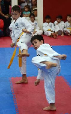 Foto de la galería: Gran cita del taekwondo en Posadas
