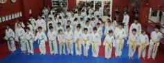 Foto de la galería: Gran cita del taekwondo en Posadas