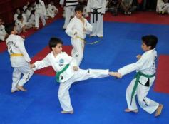 Foto de la galería: Gran cita del taekwondo en Posadas