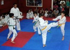 Foto de la galería: Gran cita del taekwondo en Posadas
