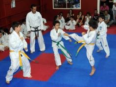 Foto de la galería: Gran cita del taekwondo en Posadas