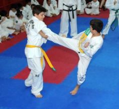 Foto de la galería: Gran cita del taekwondo en Posadas