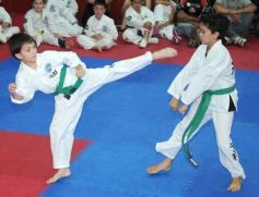 Foto de la galería: Gran cita del taekwondo en Posadas