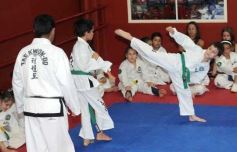 Foto de la galería: Gran cita del taekwondo en Posadas