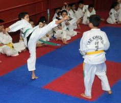 Foto de la galería: Gran cita del taekwondo en Posadas